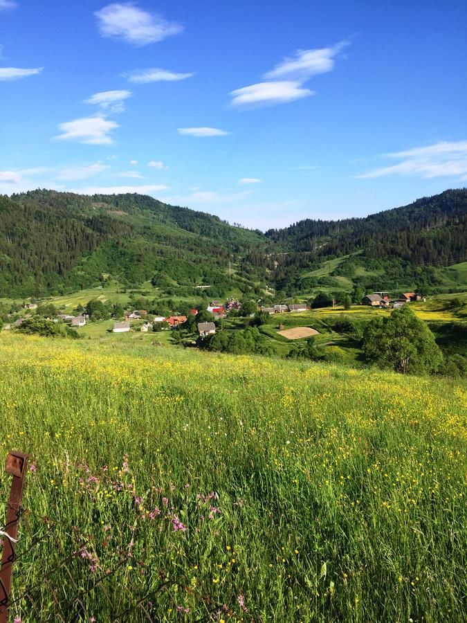 Гостевой дом Карпатське сонце (Karpaty Sun) Kozevo-15