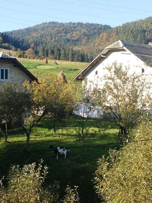 Гостевой дом Карпатське сонце (Karpaty Sun) Kozevo-16