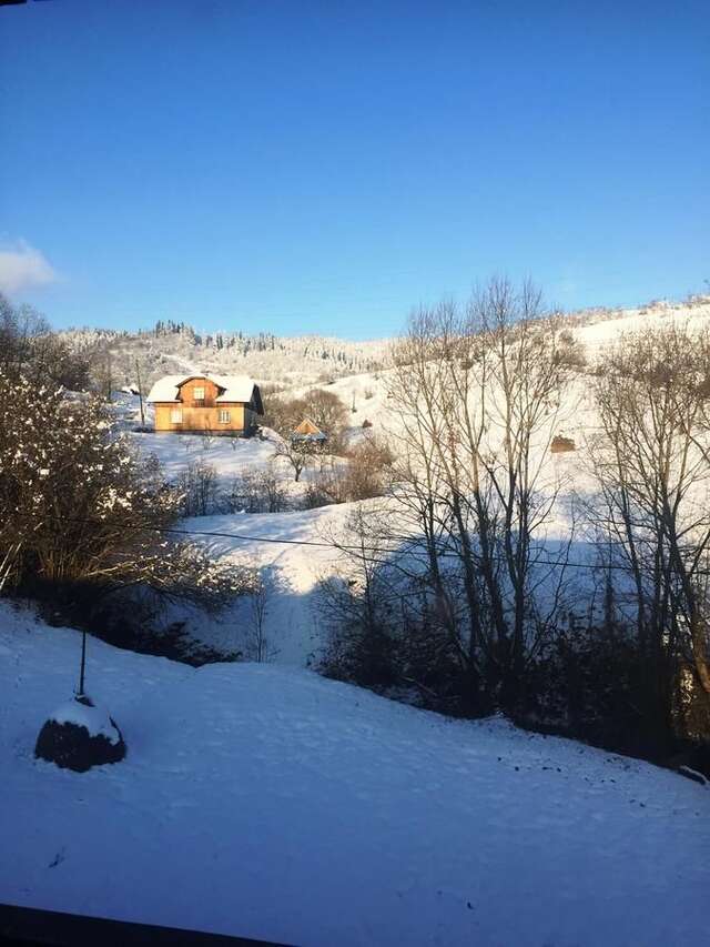 Гостевой дом Карпатське сонце (Karpaty Sun) Kozevo-9